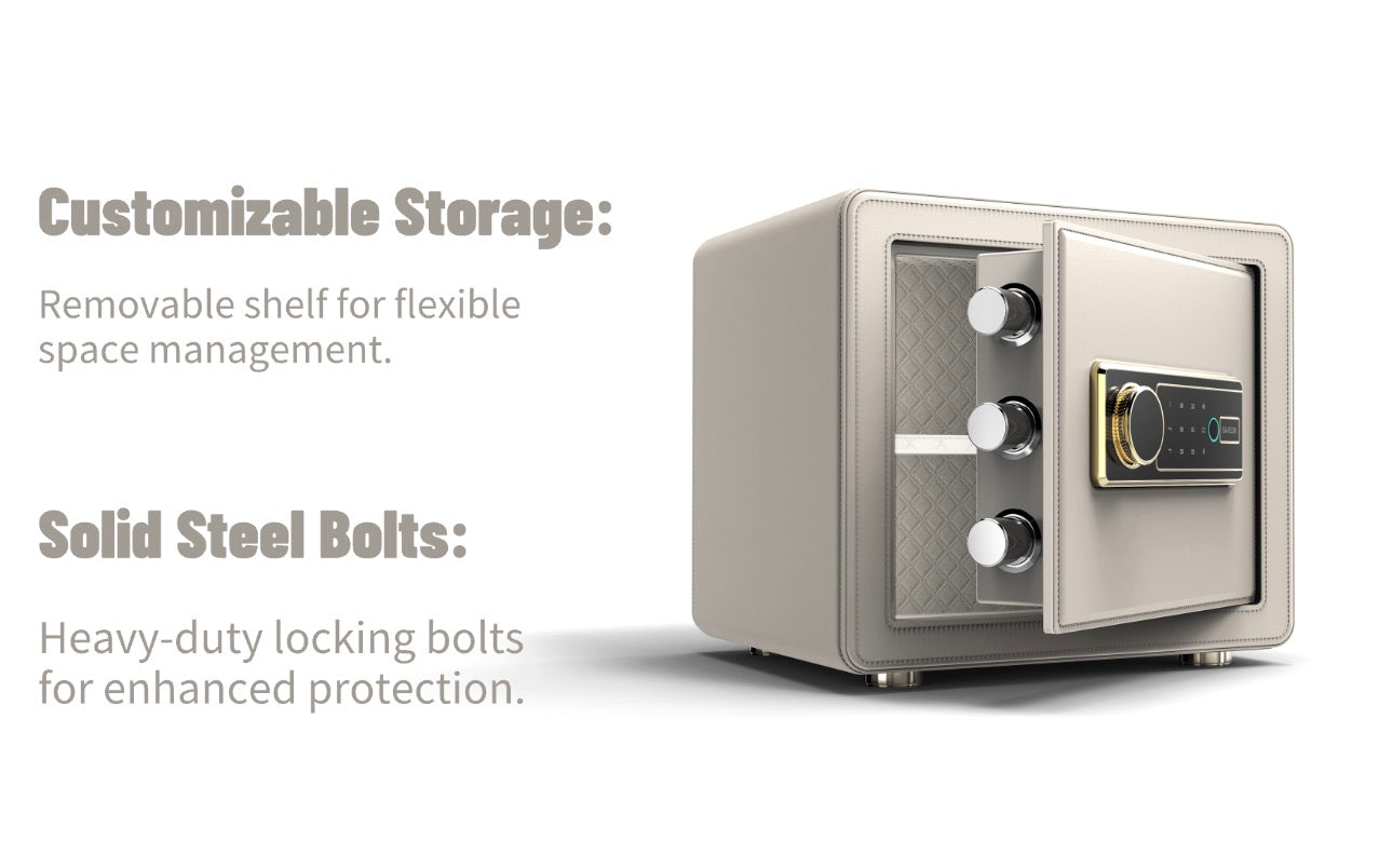 Canada Toronto biometric fingerprint safe interior with shelf