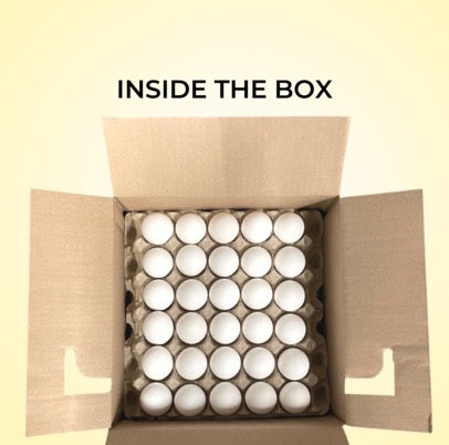 Gray Ridge Extra-Large Egg BoxSet(30unit/box)