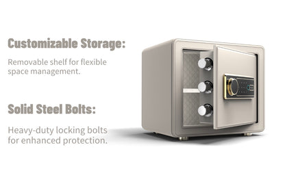 Canada Toronto biometric fingerprint safe interior with shelf